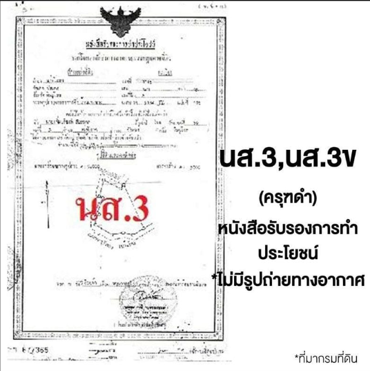 โฉลดที่ดิน ครุฑดำ นส3ข